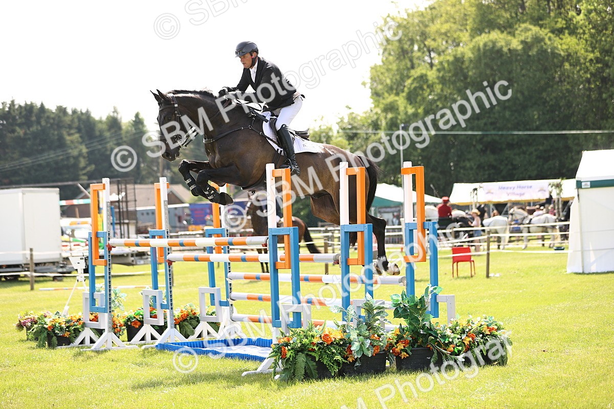 SBM_02999 - Class 201 - British Horse Feedds Speedi Beet HOYS Grade C