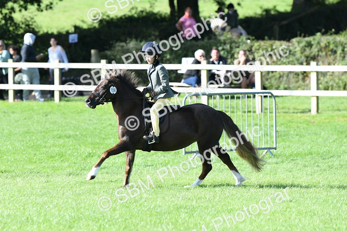 SBM_50416 - S21 - Novice & Newcomers 1st Ridden Pony