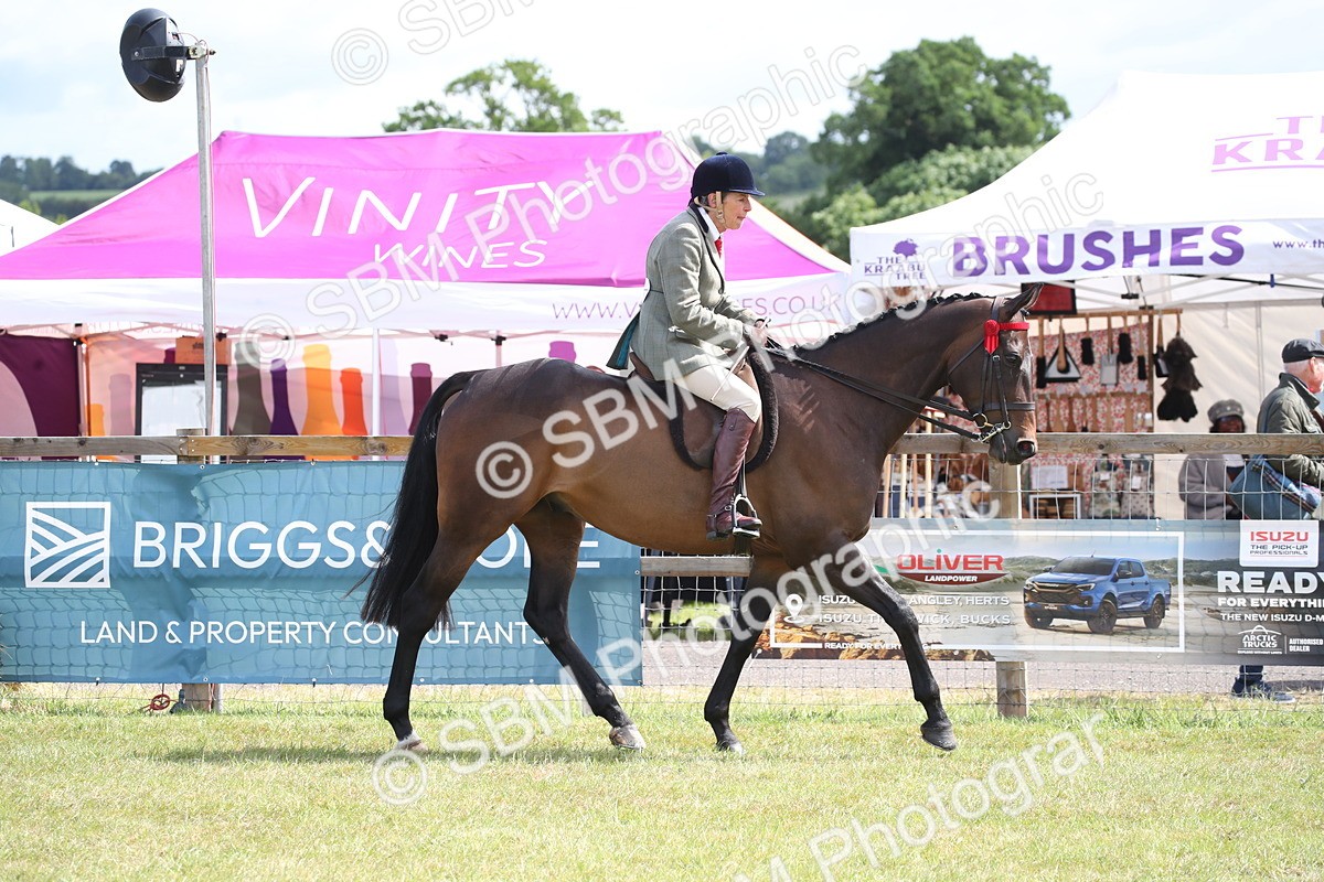 SBM_13176 - Class 95-96 - LIHS BSHA Rising Star Hack Riding Horse