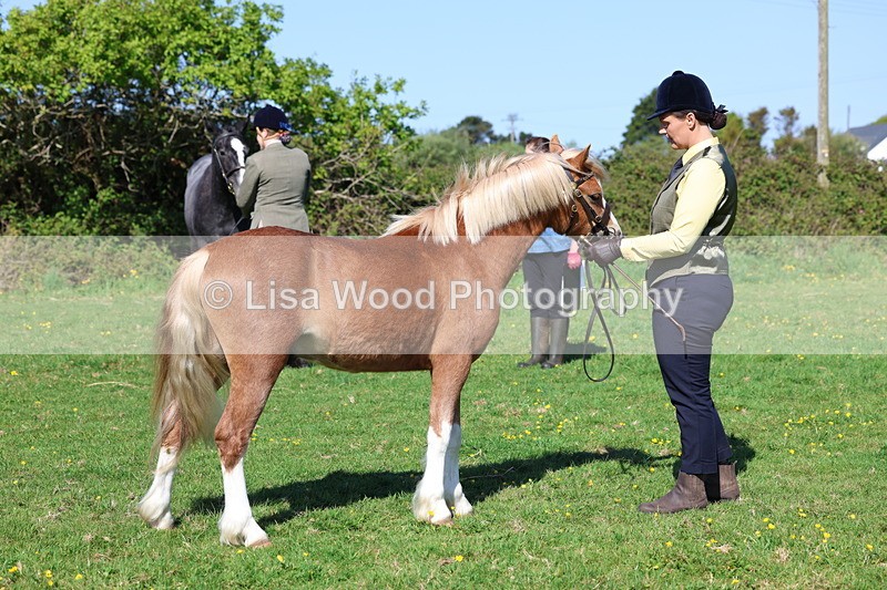 3E7A9075 - Class 15: Two/Three Year olds