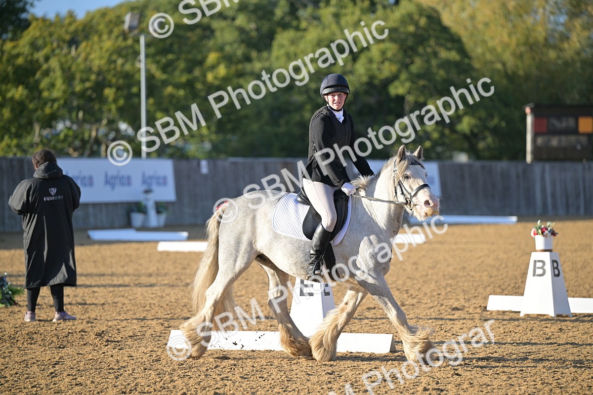 SBM_13154 - D3 - Small Tour Championship Intro 3