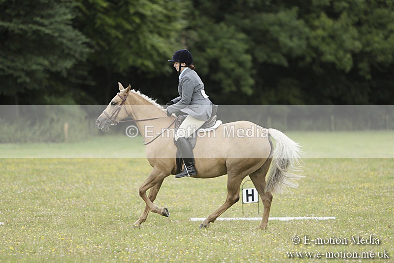 BVR160717-1194 - Class 2 Dressage 16/07/17