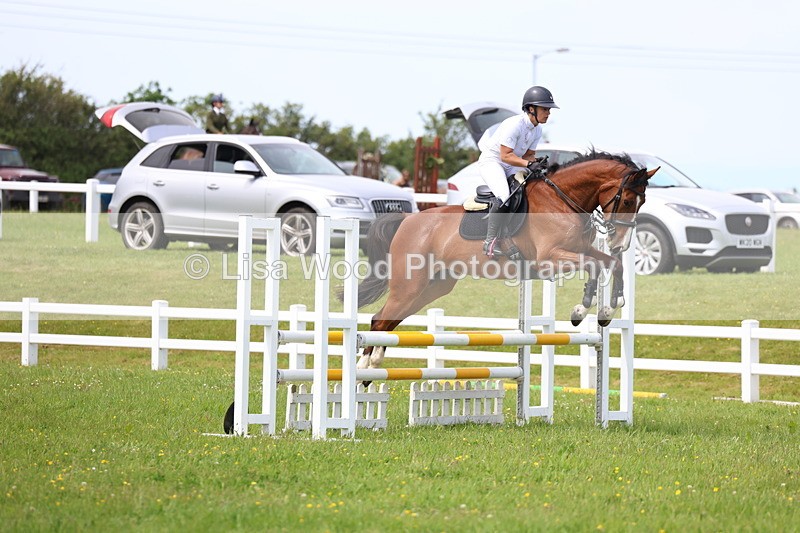 3E7A1512 - Class 13: Senior British Novice/90cm open
