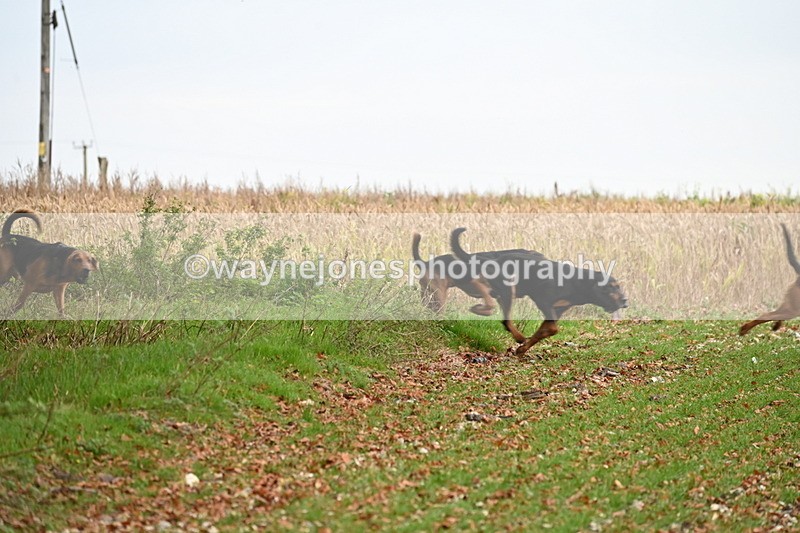 WJ6_9378 - Camera 2