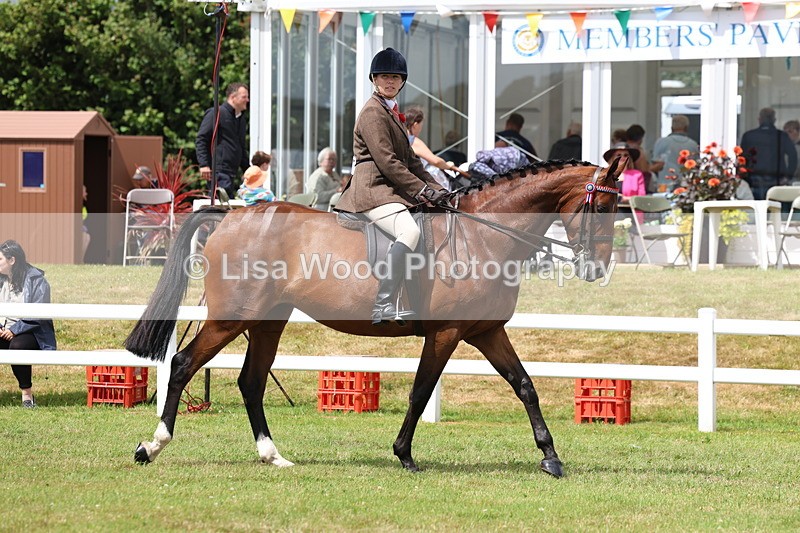 3E7A0778 - Class 8: Open Riding Horse/Hack