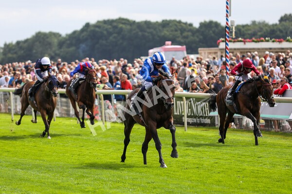 yr17082022r4-70 - Race 4 3.35pm Juddmonte International Stakes (British Champions Series Race)