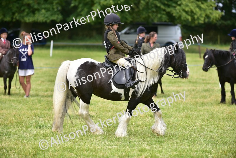 20260614-3666 - Class 15 - Prettiest Mare