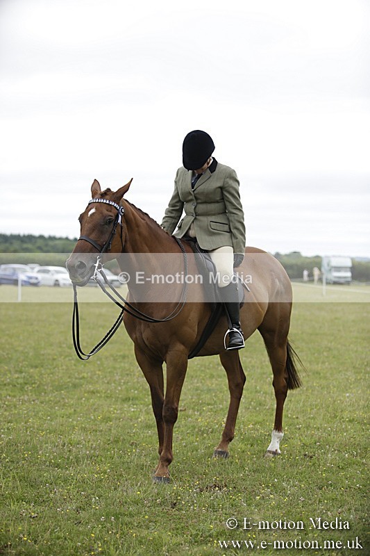 BVR160717-469 - Ring 1 BVRC Show 16/07/17