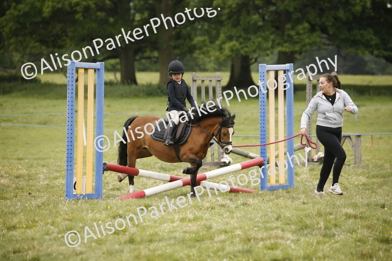 20250517-0074 - Class 1 - 30cm On Lead Rein