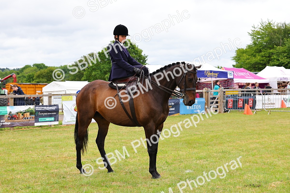 SBM_02758 - Class 9-11 Side Saddle including LIHS Rising Star Ladies Show Horse