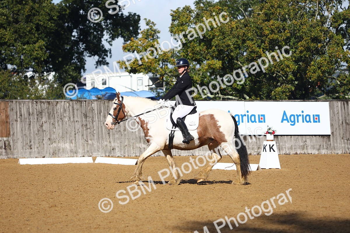 SBM_39002 - D21 - Junior Championship Intro 1