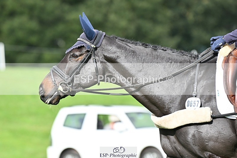 231020-124224-08447 - 657-WATERVALLEY.DIAMOND-Holly.Horton-DR