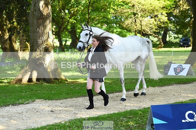 230524-161452-00787 - 259-KATE_BLUE-Millie_Juleff-WEDTrotUp+DR