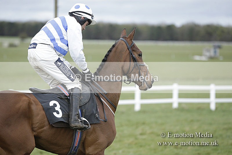 PtP 150320 0567 - New Forest Point-to-Point Larkhill 15/03/20