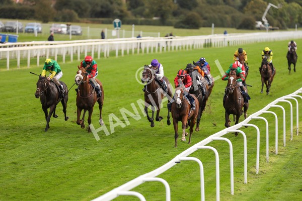 131023-Race 4-Hafeet Alain-9804 - Race 4 3.50pm William Hill Autumn Mile Handicap