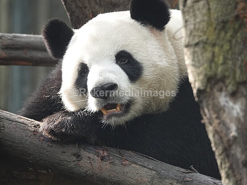 CHINA__0079 - China 2019