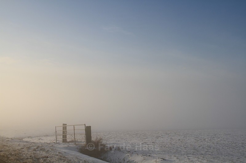  - Misty Morning