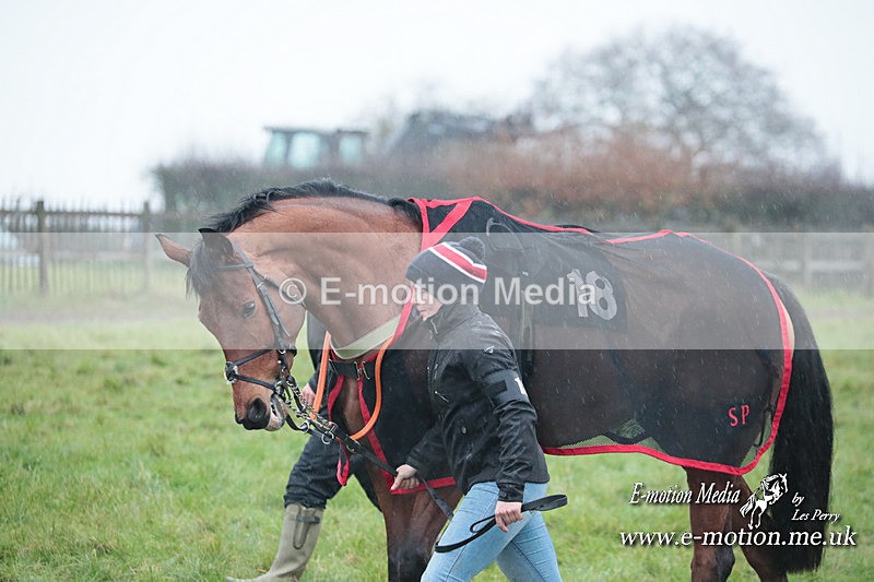 PtP 031223 924 - Wheatland Hunt PtP Chaddesley Races 03/12/23