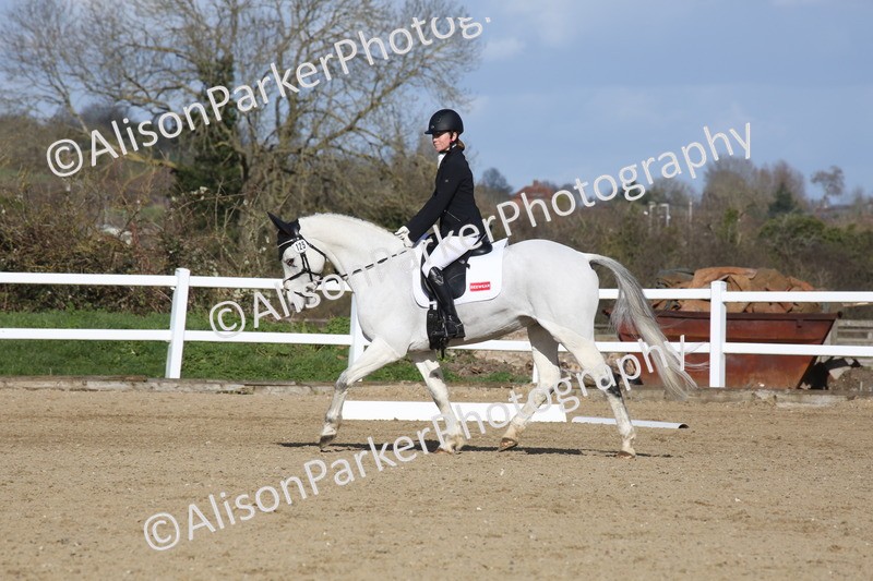 20260314-5213 - DR6 - Novice 2