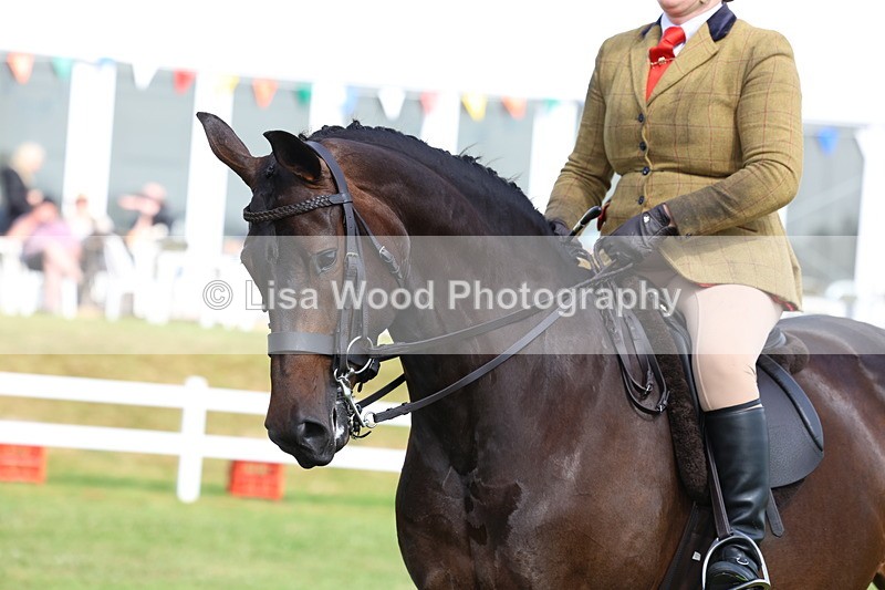 3E7A8993 - Class 3: Rising Star S/L Hunter