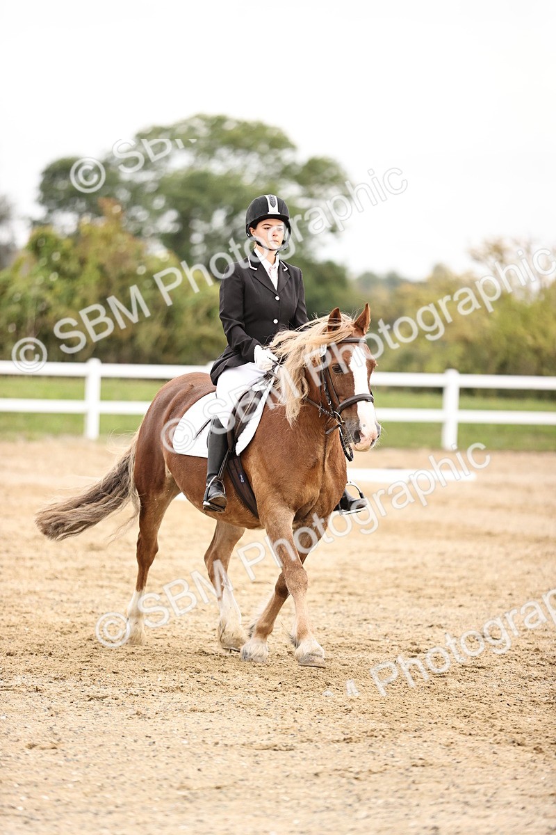 SBM_002732 - Prelim 1