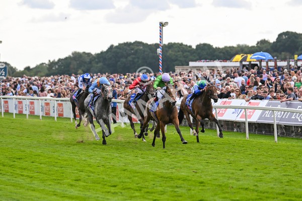 240824-Race 3-Breege-1409 - Race 3 3.00pm Sky Bet City Of York Stakes