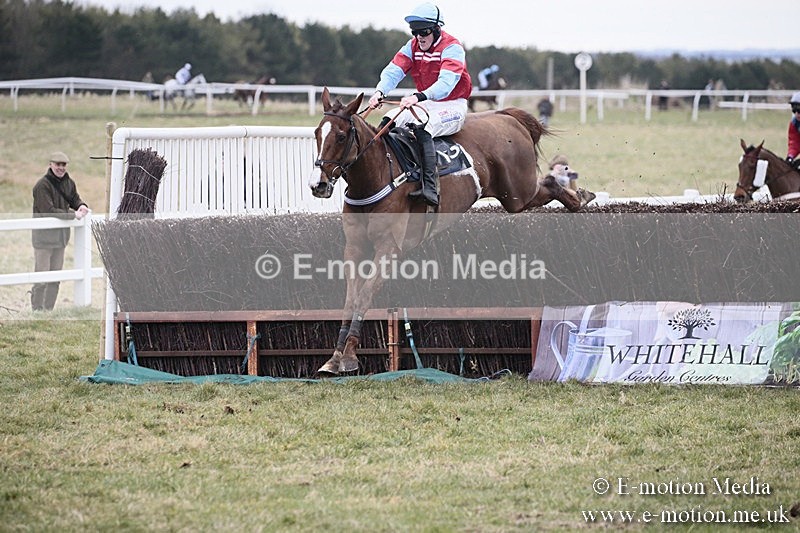 PtP 180218 533 - Combined Services Point-to-Point Larkhill 18/02/18