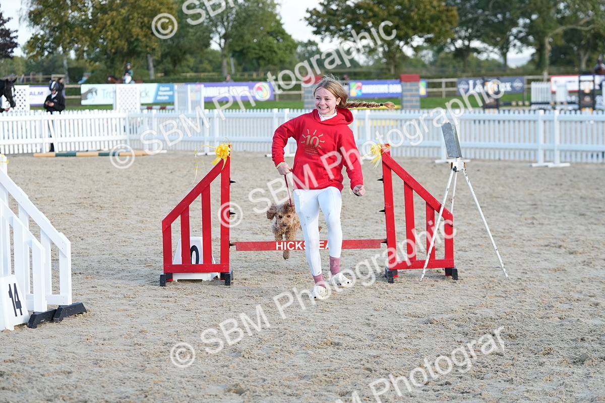 SBM_29477 - J44 - Horse & Hound Open 70cm