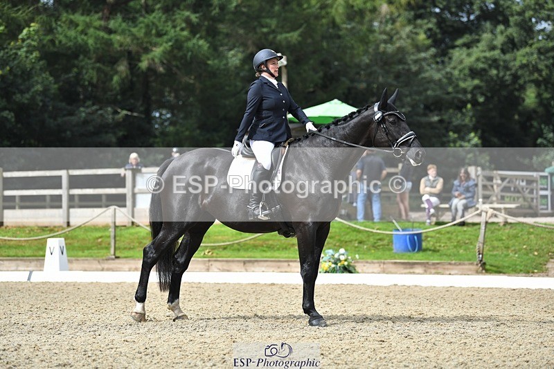 230812-103614-03405 - Cls 6 Novice Silver 10.30 to 11.55 break