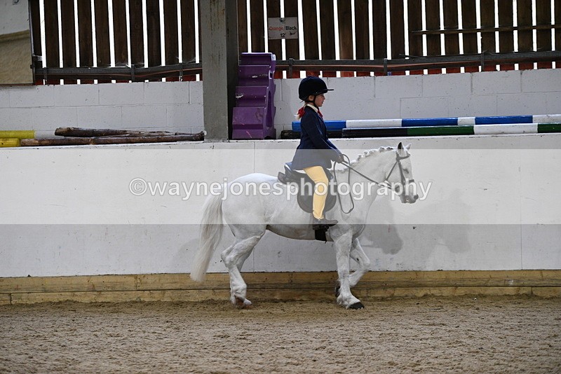 WJ5_7167 - Class 11 Ridden PC - RC Pony