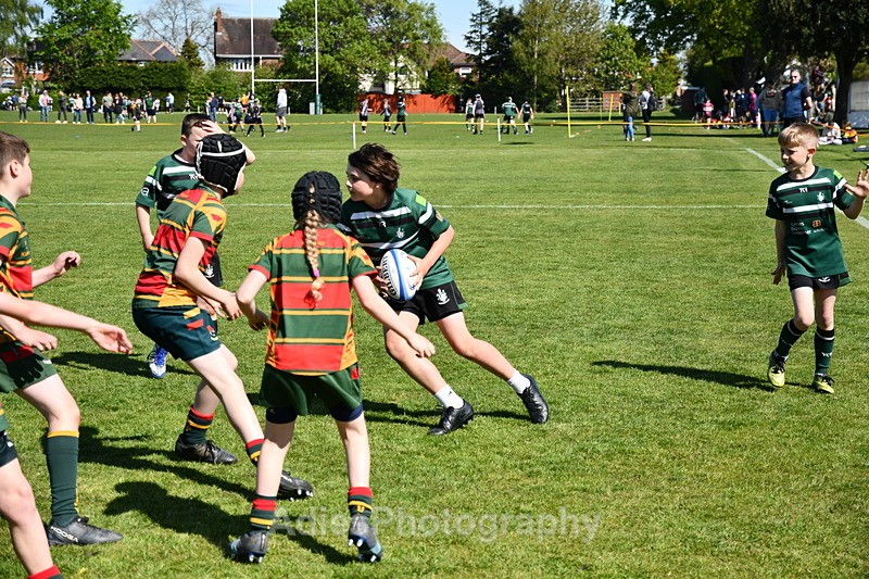  - Selby Rugby Festival 2025