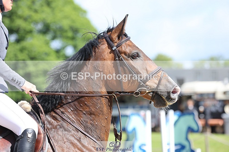 240615-094949-00367 - Cls 1 Snr British Novice and 90cm Open