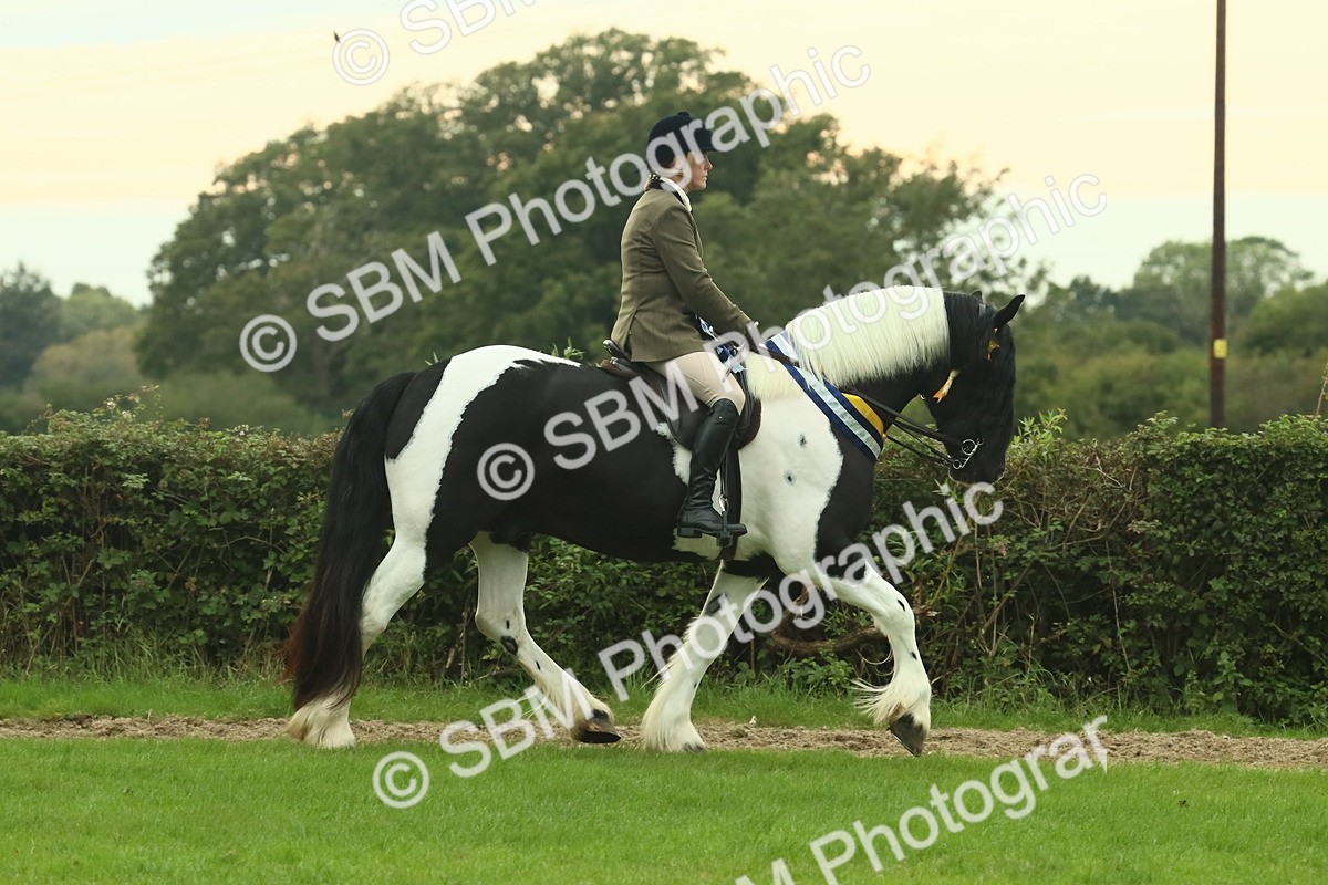 SBM_75146 - Super Supreme Championship