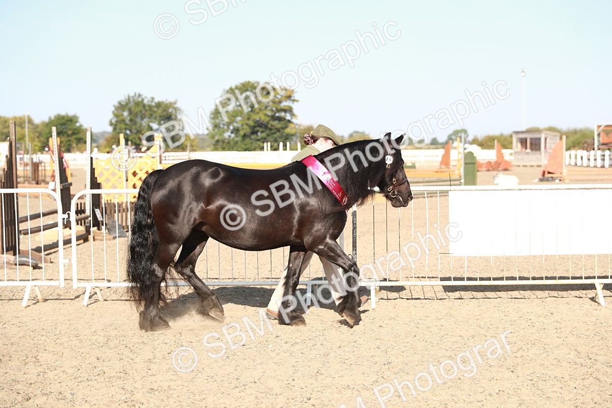 SBM_00184 - Class 40 Best Turned Out IH