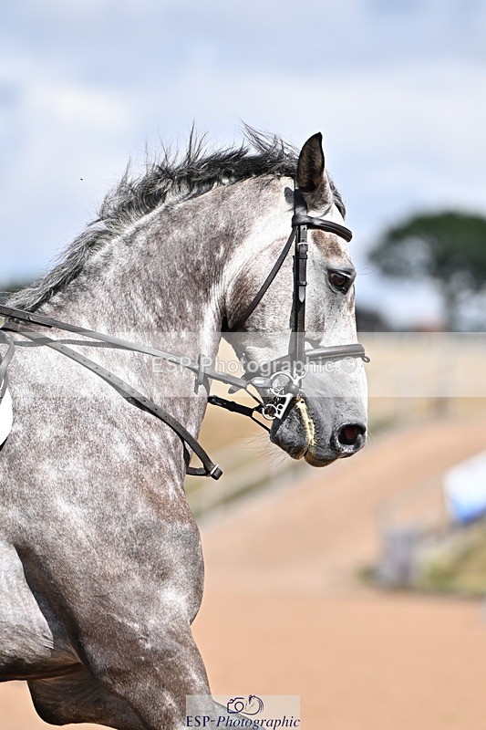 260819-142644-01090 - Cls 6 Foxhunter and 1.20m