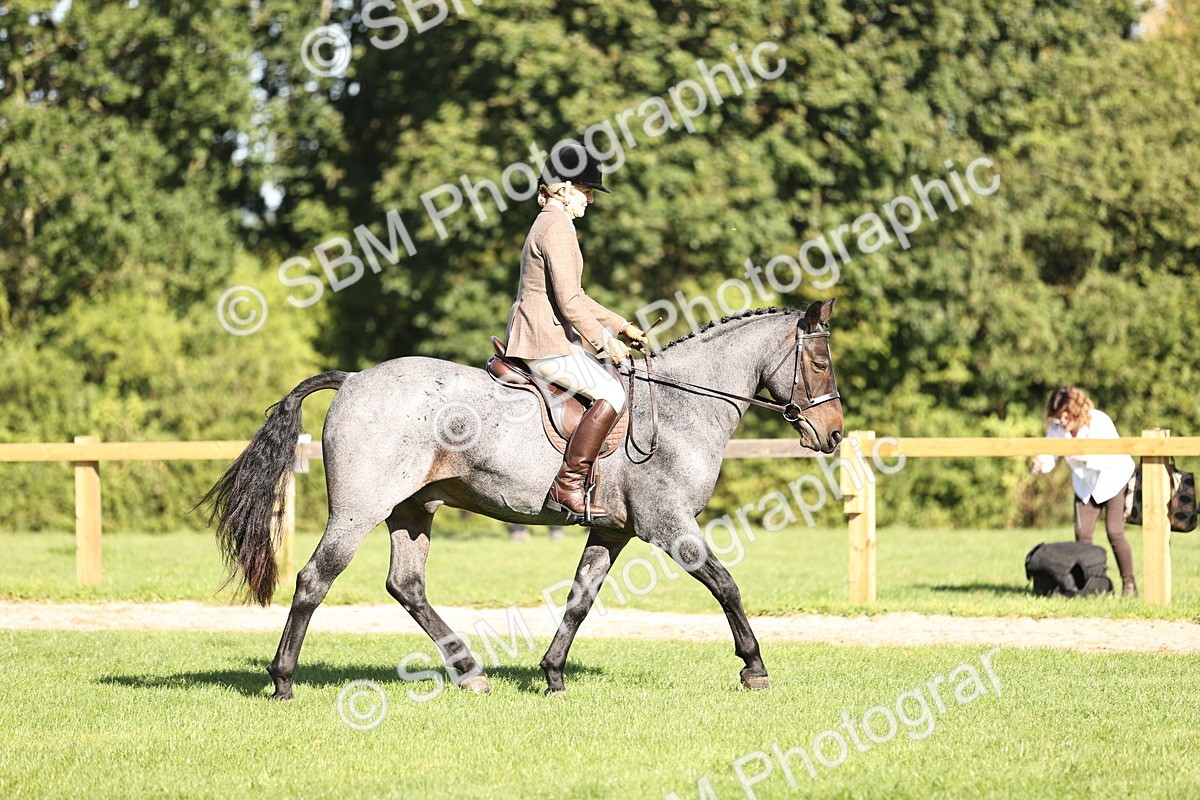 SBM_16893 - S2 - TSR Ridden Pony Showing