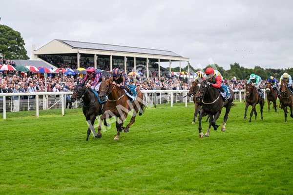 130724-Race 6-Zimmerman-7693 - Race 6 4.50pm John Smith's Stayers' Handicap