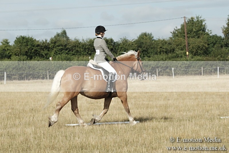 _PJP5566 - Dressage Classes BVRC Show 2018