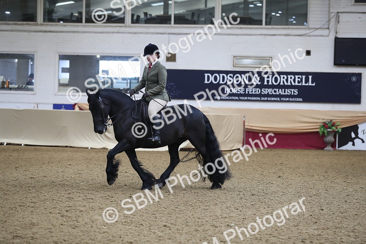 SBM_10415 - Class 102 Equitation (best rider) Adult