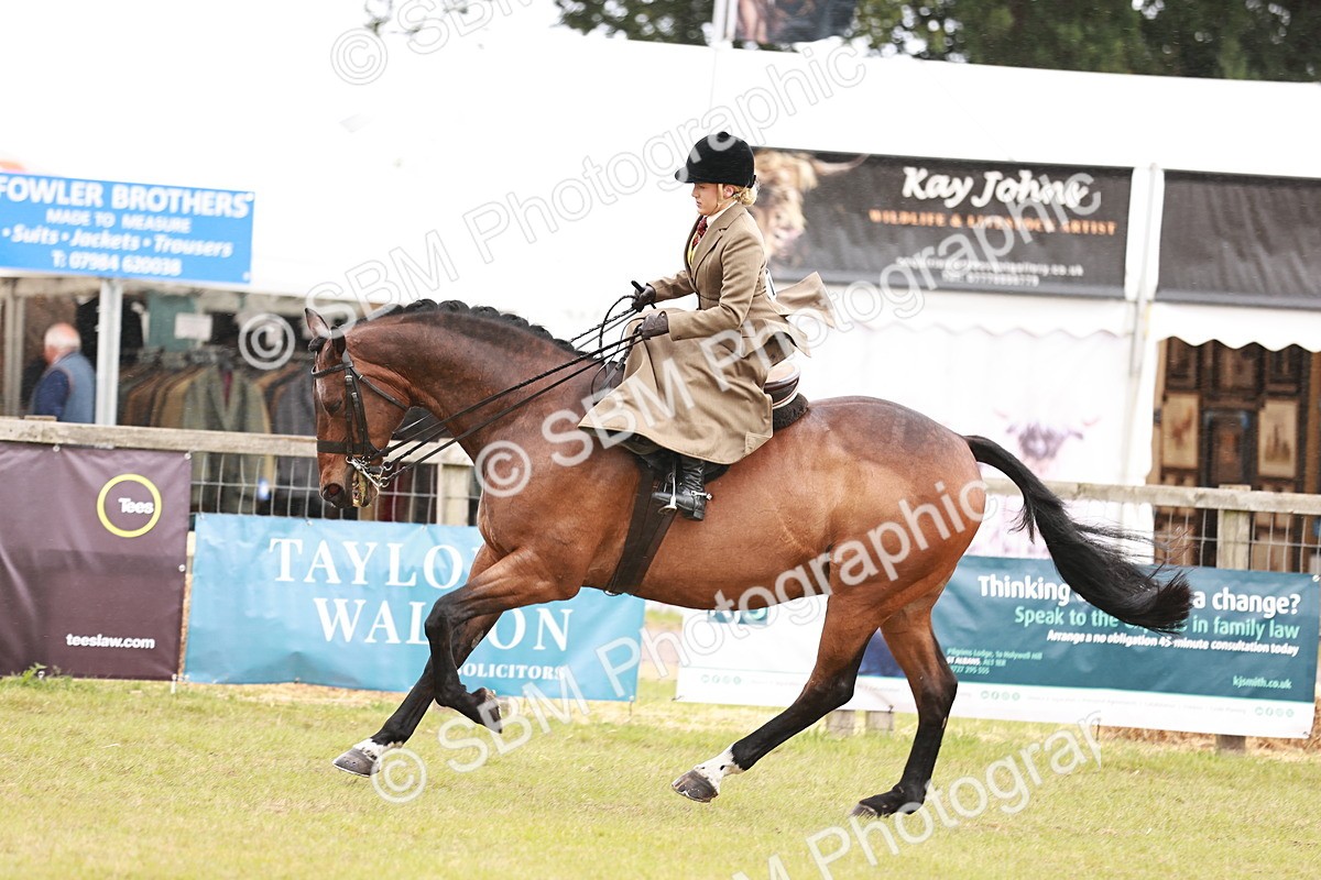 SBM_10992 - Class 81-84 - RIHS Ridden hunters Inc Ladies Hunter