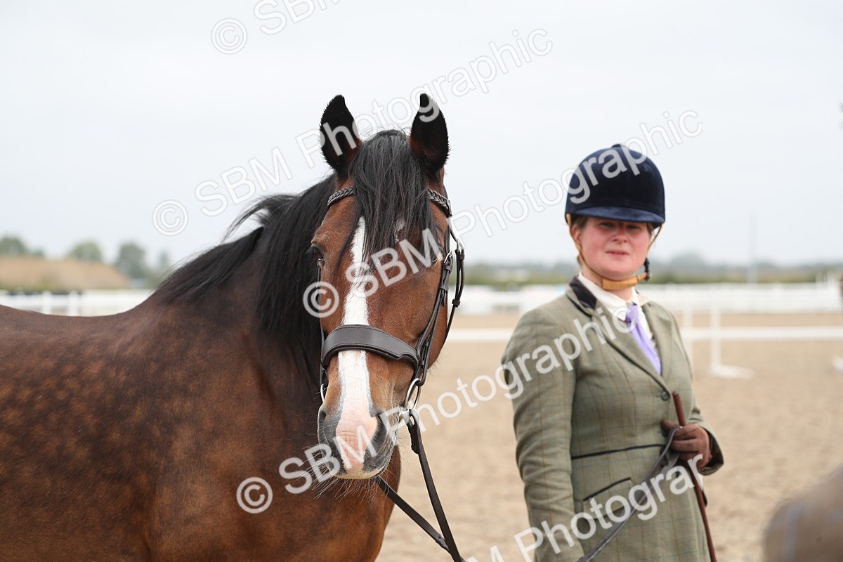 SBM_22542 - Class 604 - 2025 Area - IH Diamond