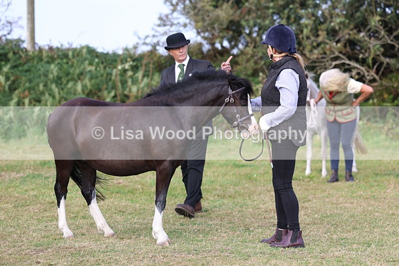 3E7A3248 - Class 12: M & M Small Breeds