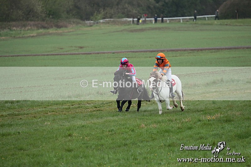 SHETPR 210425 74 - Shetland Ponies Paxford Races 21/04/25