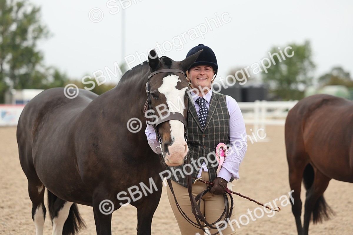 SBM_19901 - Class 318 - IH Part Bred Horse-Pony
