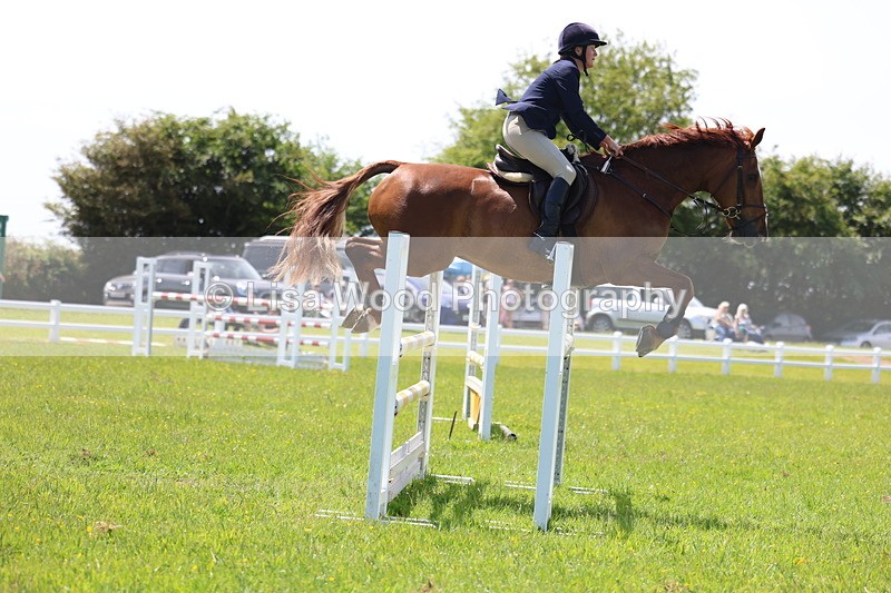 3E7A1268 - Class 12: Senior Foxhunter/1.20 open