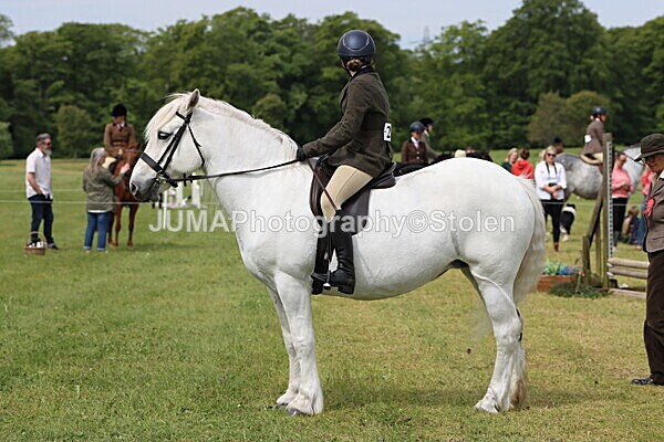 IMG_2690 - Working Hunter