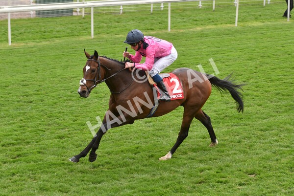 yr14052021r4-28 - Race 4 3.10pm The Matchbook Yorkshire Cup