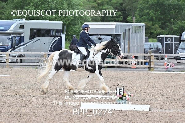 BPP_0274 - 31 E WYLLIE