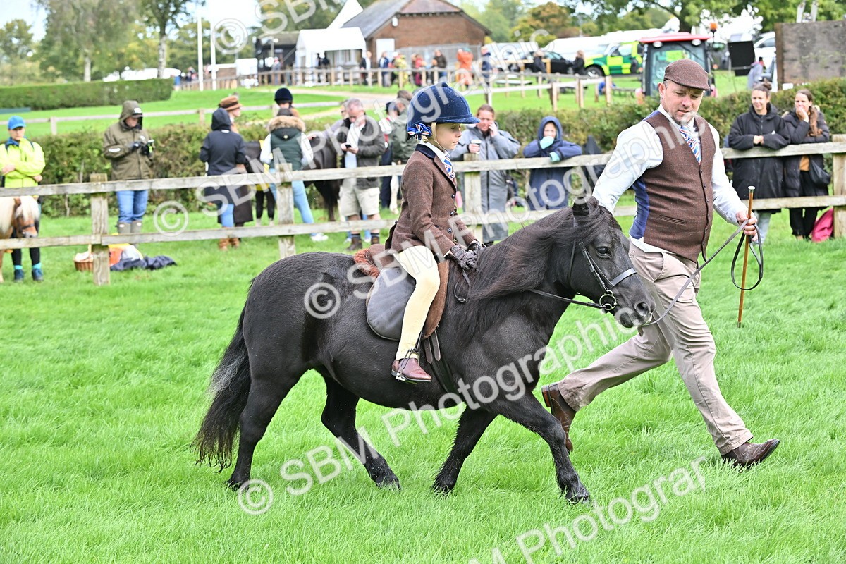 SBM_40146 - S20 - Lead Rein Mountain & Moorland Pony
