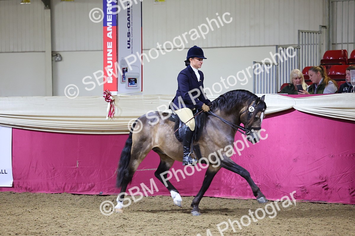 0B8A4371 - Class N M&M Champ